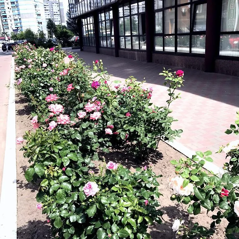 Sophie Red Apartments Kiew